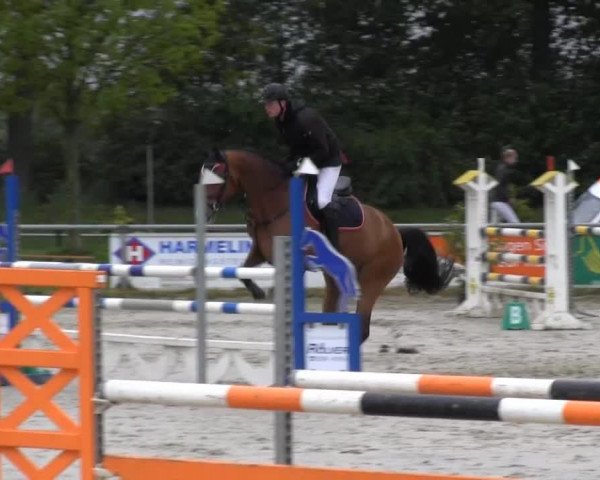 Coesfelder Reitertage 2014