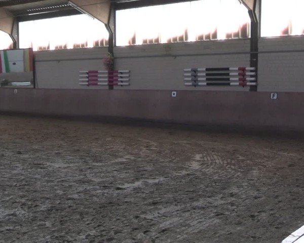 Reitturnier Dortmund-Somborn 2025