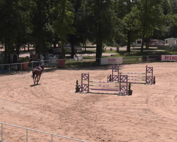 Reitturnier Stadl-Paura 2025