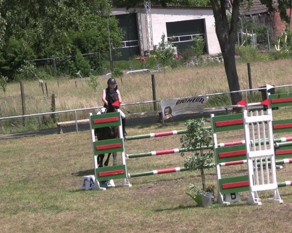 Reitturnier Uenze 2025