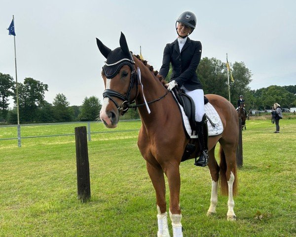 Pferd Baylee Rose B (Westfale, 2021, von Callaho's Benicio)