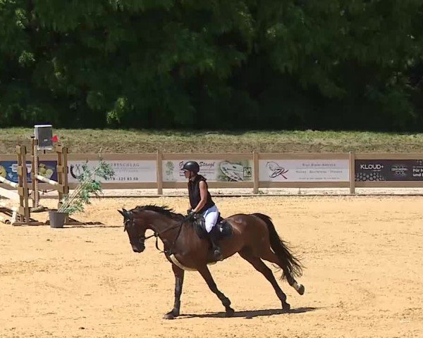 Reitturnier Tiefenhof/Opf. 2025