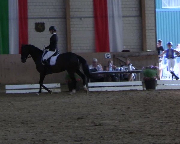 Reitturnier Dortmund-Somborn 2025