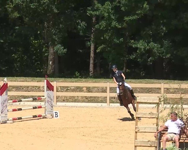 Reitturnier Tiefenhof/Opf. 2025