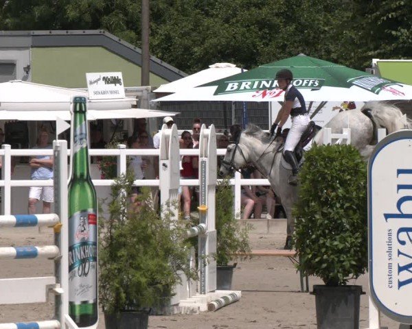 Reitturnier Dortmund-Somborn 2025