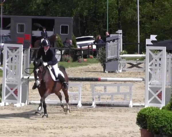 Dressur- und Springturnier Halver 2014