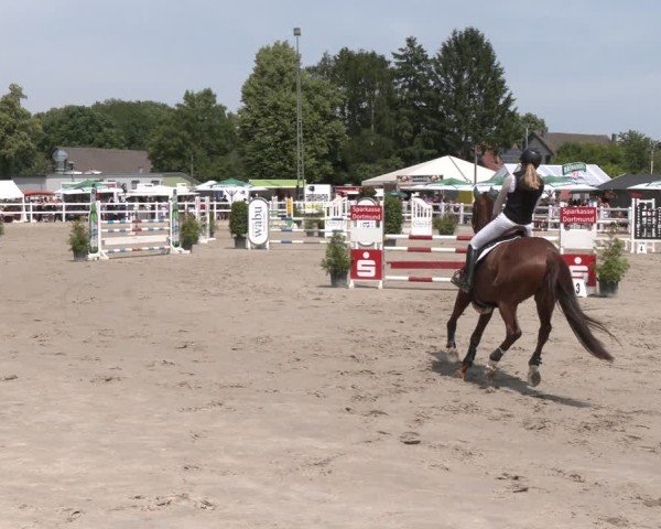 Reitturnier Dortmund-Somborn 2025