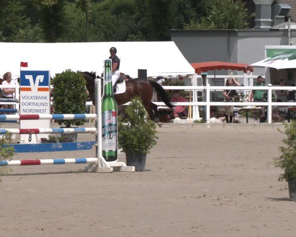 Reitturnier Dortmund-Somborn 2025