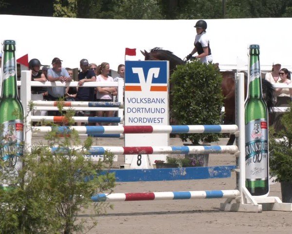 Reitturnier Dortmund-Somborn 2025
