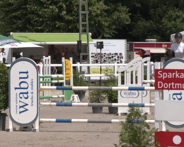 Reitturnier Dortmund-Somborn 2025
