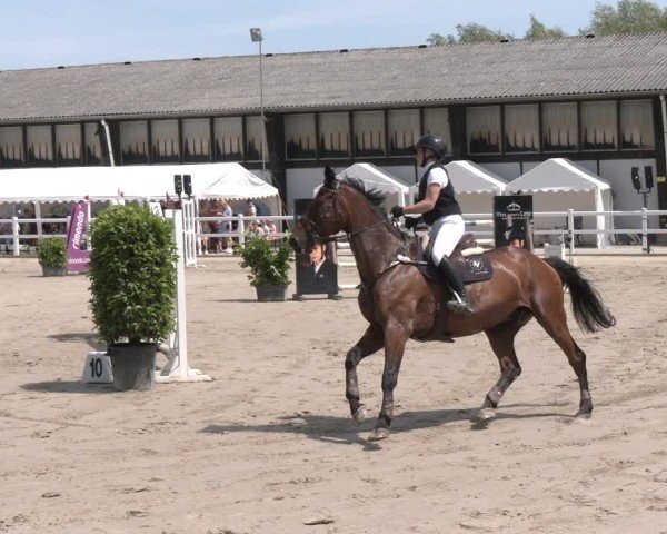 Reitturnier Dortmund-Somborn 2025