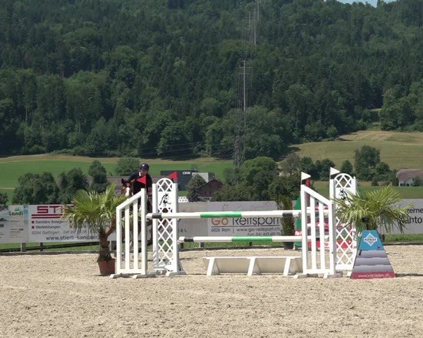 Reitturnier Hitzkirch 2025