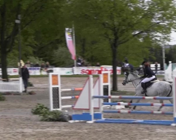 Dressur- und Springturnier Halver 2014
