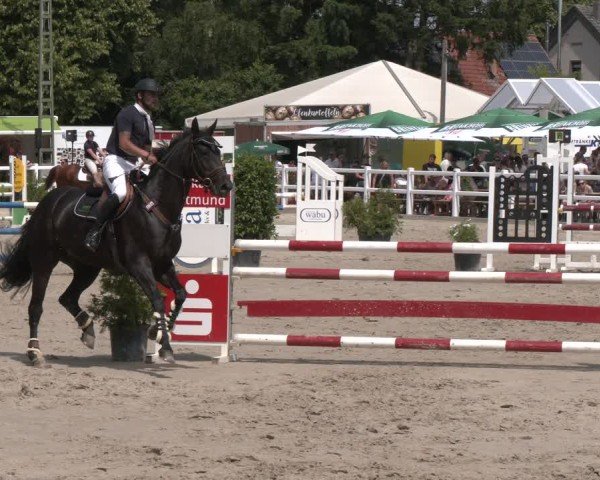 Reitturnier Dortmund-Somborn 2025