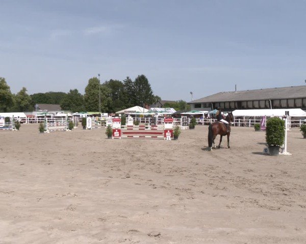 Reitturnier Dortmund-Somborn 2025