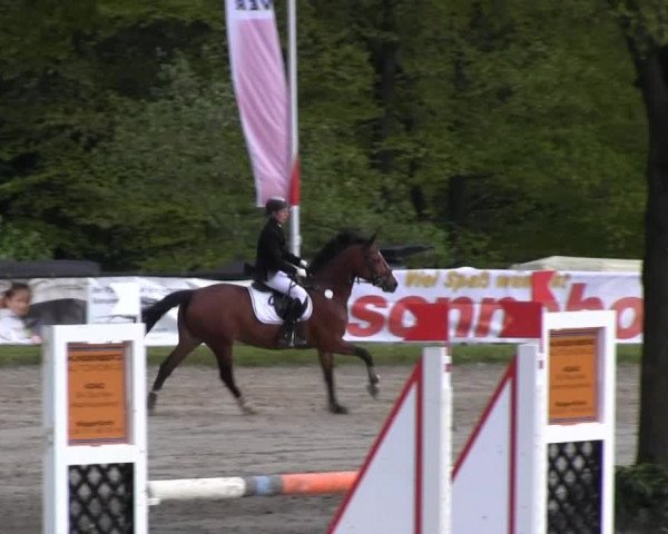 Dressur- und Springturnier Halver 2014