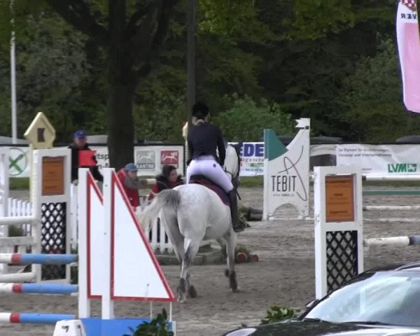Dressur- und Springturnier Halver 2014