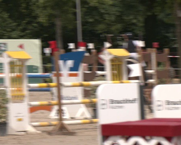 Reitturnier Münster-Albachten 2025