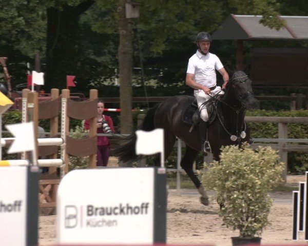 Reitturnier Münster-Albachten 2025