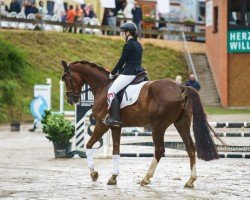 dressage horse Bonds Double Hs (Rhinelander, 2018, from Bonds)