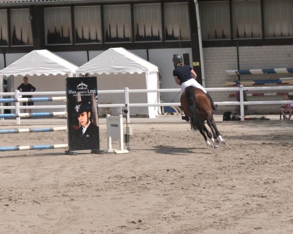 Reitturnier Dortmund-Somborn 2025