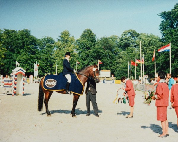 broodmare Vogtin (Holsteiner, 1983, from Calypso I)