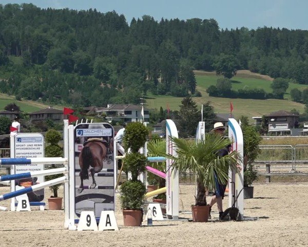 Reitturnier Hitzkirch 2025