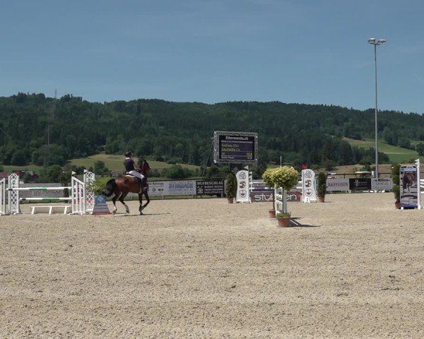 Reitturnier Hitzkirch 2025