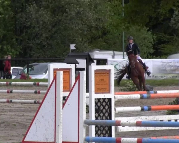Dressur- und Springturnier Halver 2014