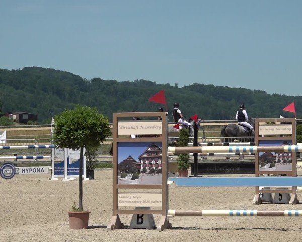 Reitturnier Hitzkirch 2025