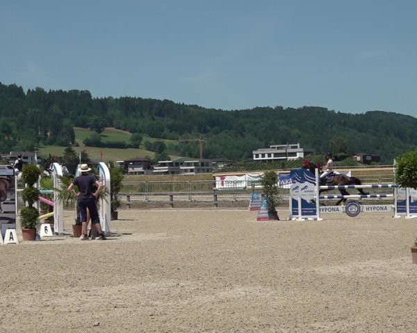 Reitturnier Hitzkirch 2025