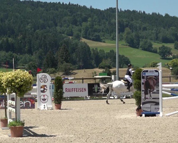 Reitturnier Hitzkirch 2025