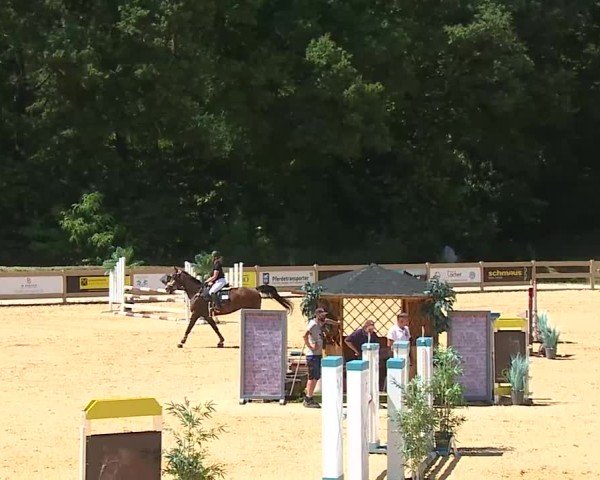 Reitturnier Tiefenhof/Opf. 2025
