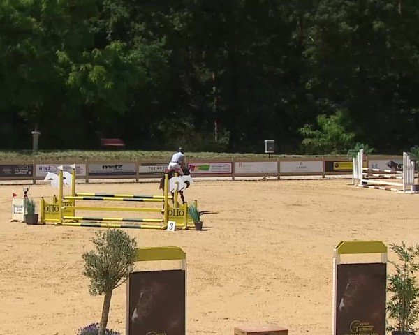 Reitturnier Tiefenhof/Opf. 2025