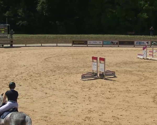 Reitturnier Tiefenhof/Opf. 2025