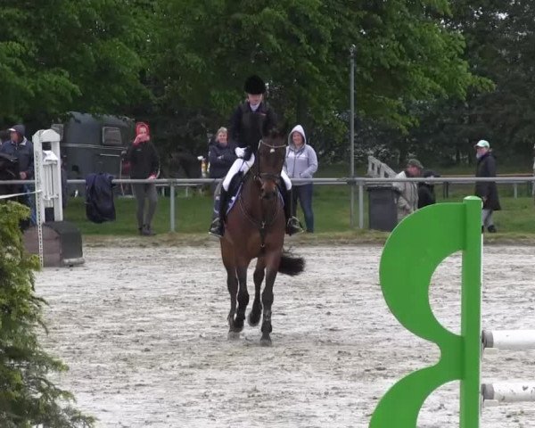 Coesfelder Reitertage 2014