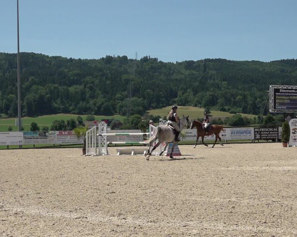 Reitturnier Hitzkirch 2025