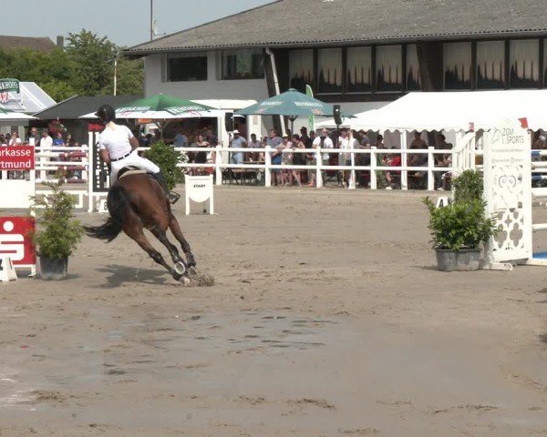 Reitturnier Dortmund-Somborn 2025