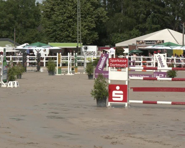 Reitturnier Dortmund-Somborn 2025