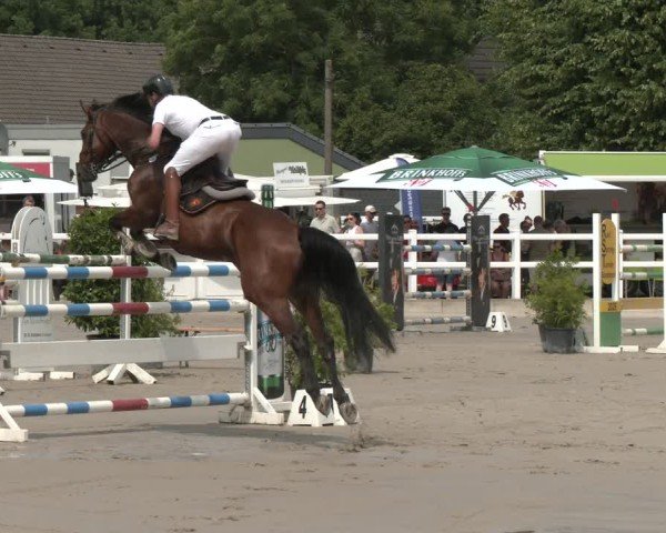 Reitturnier Dortmund-Somborn 2025