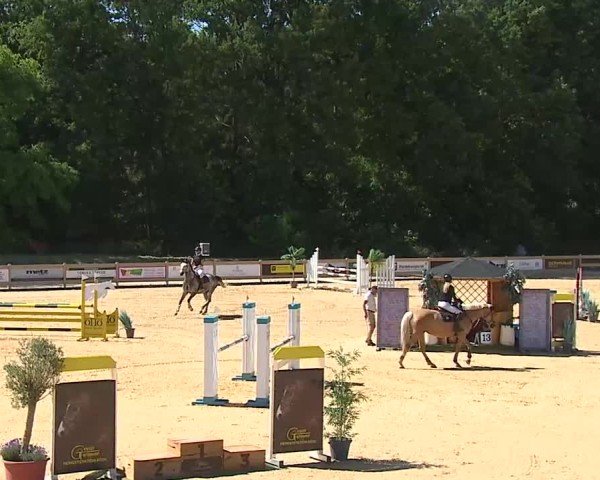 Reitturnier Tiefenhof/Opf. 2025