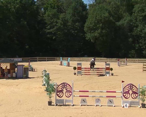 Reitturnier Tiefenhof/Opf. 2025