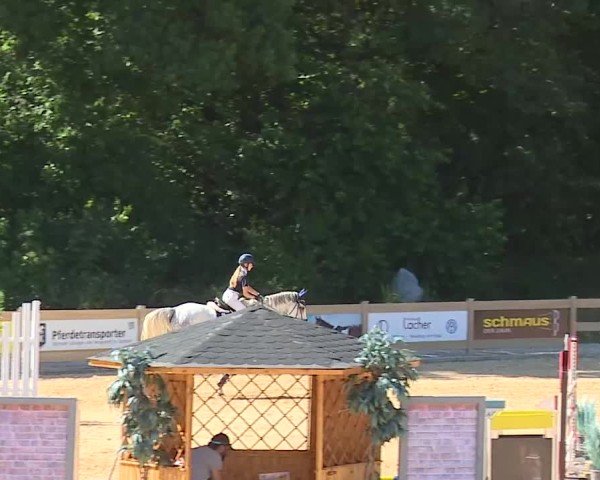 Reitturnier Tiefenhof/Opf. 2025