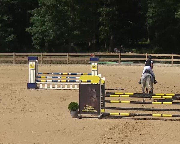 Reitturnier Tiefenhof/Opf. 2025