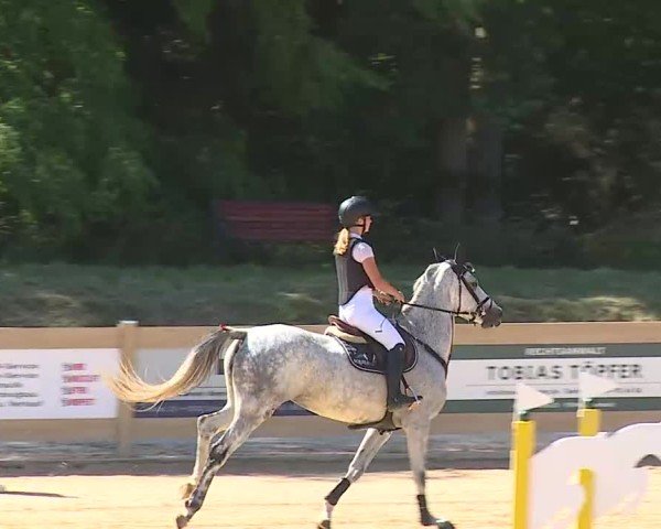 Reitturnier Tiefenhof/Opf. 2025