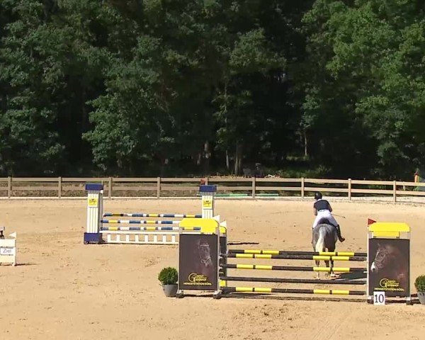Reitturnier Tiefenhof/Opf. 2025