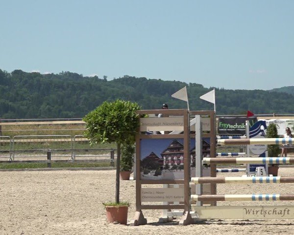 Reitturnier Hitzkirch 2025