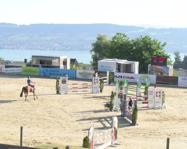 Reitturnier Wädenswil 2025