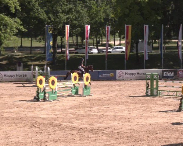 Reitturnier Stadl-Paura 2025