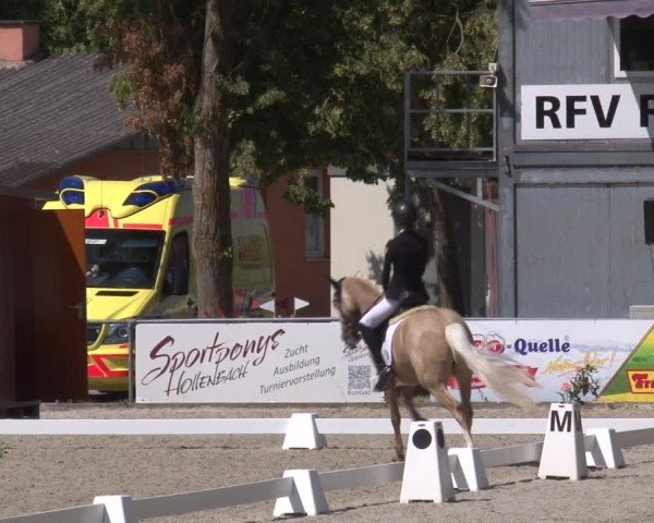 Reitturnier Rot am See- Musdorf 2025